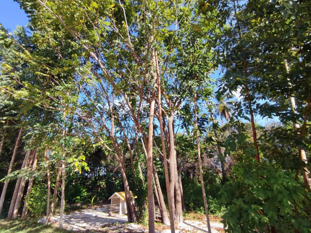 Casa Nova 2 São José da Coroa Grande Exterior foto